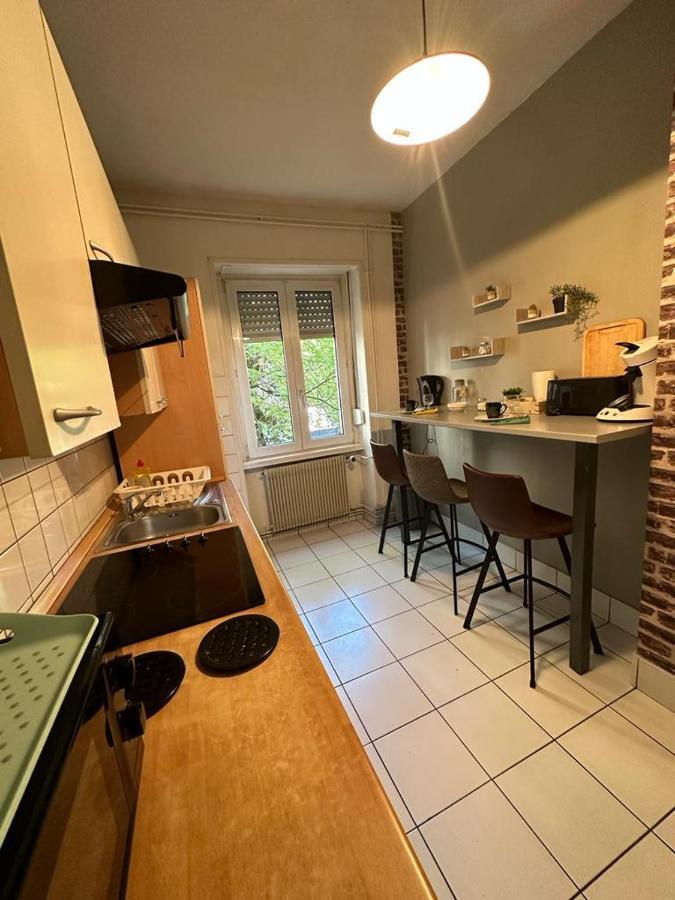 Le Cocon - 3 Pieces Mulhouse Gare/Centre Apartman Kültér fotó
